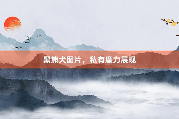 黑熊犬图片，私有魔力展现